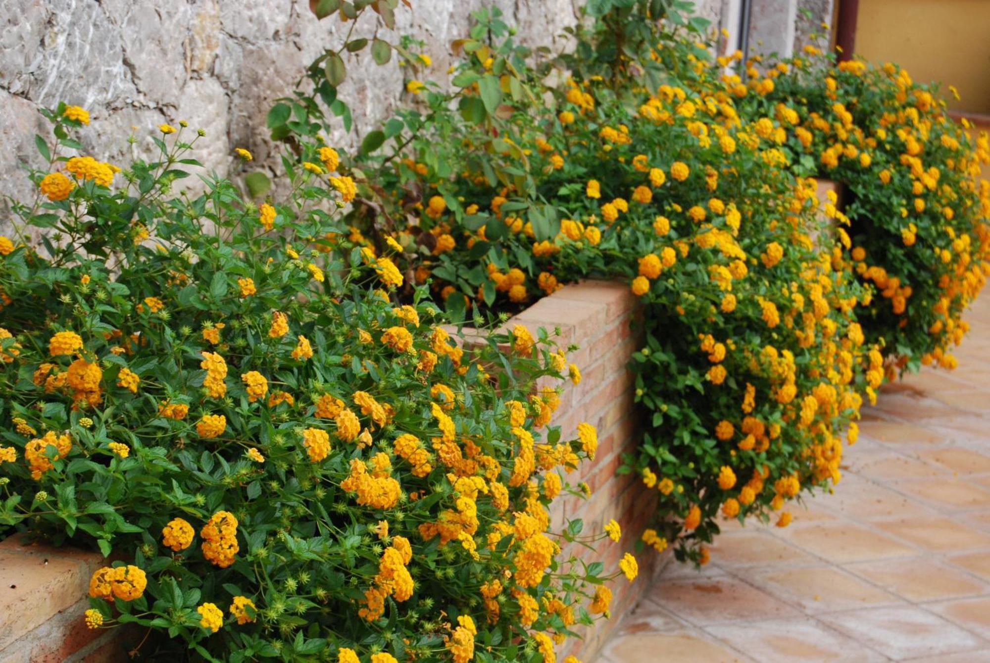 Villa Angela Taormina Exterior photo